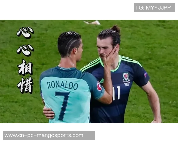 2016年欧洲杯半决赛葡萄牙对阵威尔士全场精彩回顾与高清画面分享