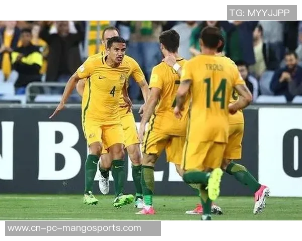 洪都拉斯与澳大利亚足球赛实时比分更新及精彩瞬间回顾